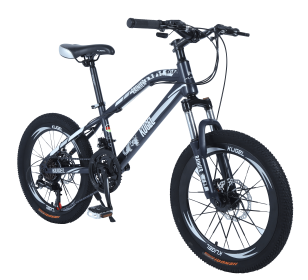 Kids RAINIER MODEL 20"STEEL MTB Bike Black/White
